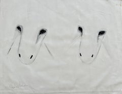 Two Sheep in white background