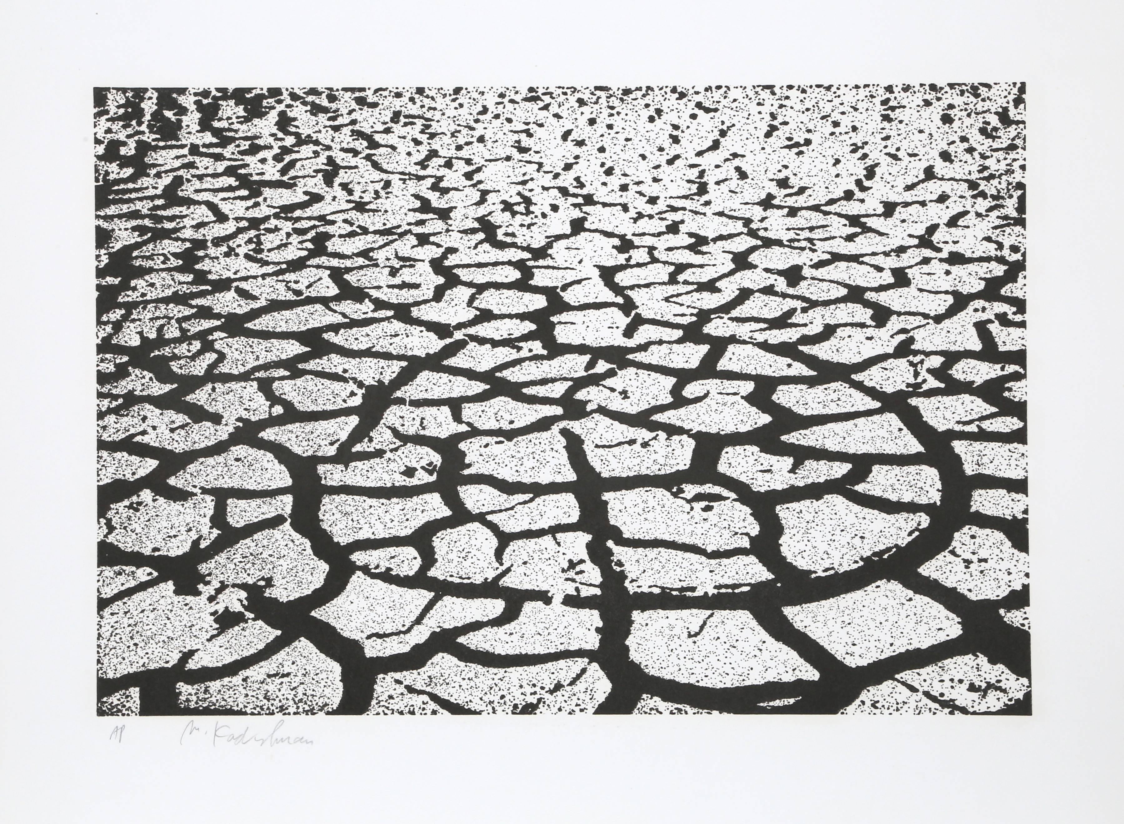 Artist:  Menashe Kadishman, Israeli (1932 - 2015)
Title:  Black Earth
Year:  circa 1979
Medium:  Etching with Aquatint, signed and numbered in pencil
Edition:  75, AP
Image Size: 20 x 29.5 inches 
Size:  31 in. x 38 in. (78.74 cm x 96.52 cm)
