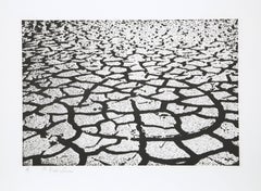 Black Earth, Conceptual Etching with Aquatint by Menashe Kadishman