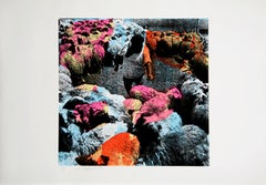Circle of Sheep, Pop Art Screenprint by Menashe Kadishman