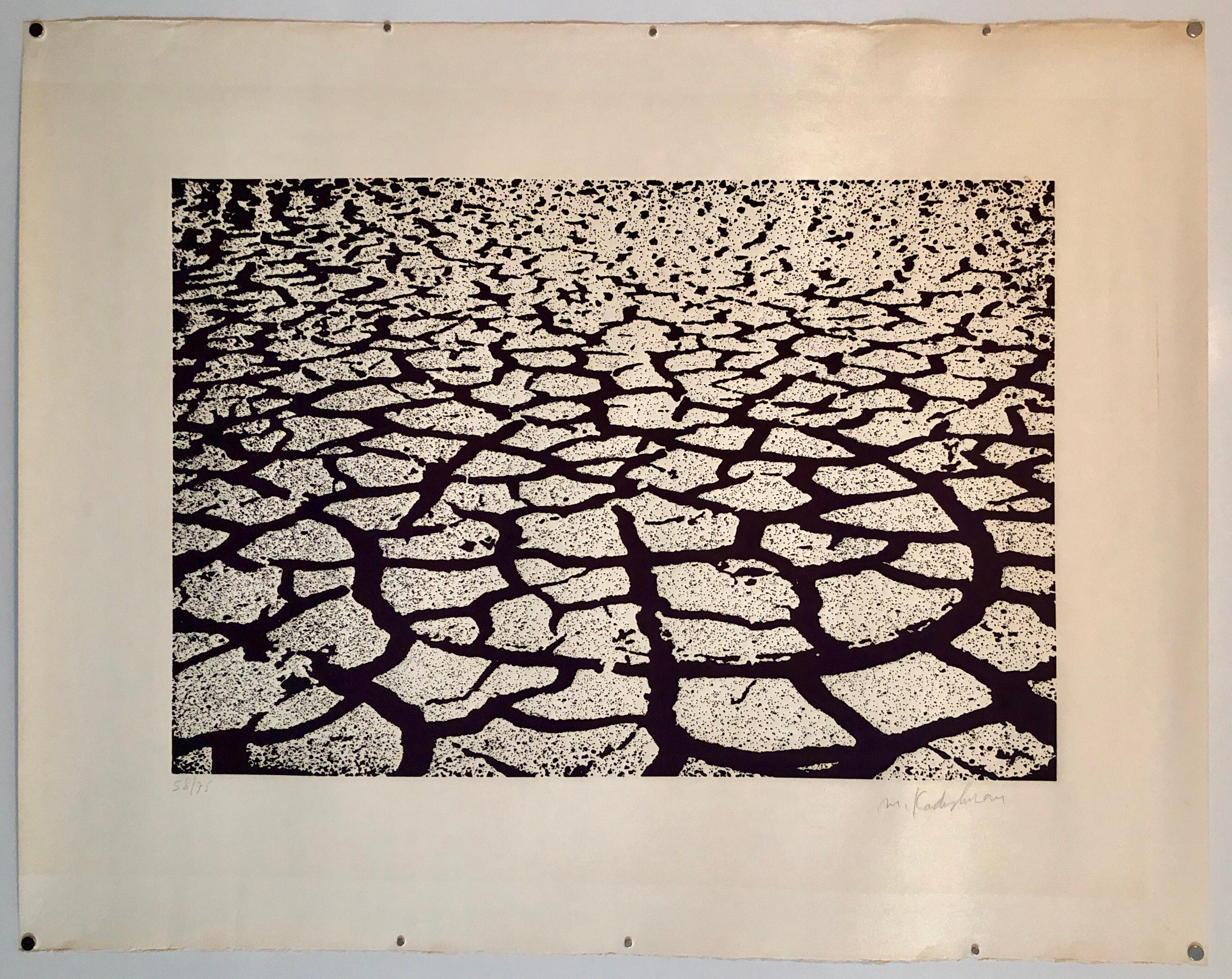 Israelische moderne Pop-Art Aquatinta-Radierung Cracked Earth Art Kadishman Lithographie – Print von Menashe Kadishman