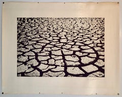 Israeli Modern Pop Art Aquatint Etching Cracked Earth Art Kadishman Lithograph