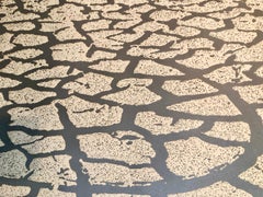 Israeli Modern Pop Art Aquatint Etching Cracked Earth Art Kadishman Lithograph