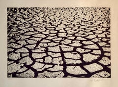 Israeli Modern Pop Art Aquatint Etching Cracked Earth Art Kadishman Lithograph