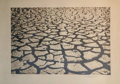 Israeli Modern Pop Art Aquatint Etching Cracked Earth Art Kadishman Lithograph