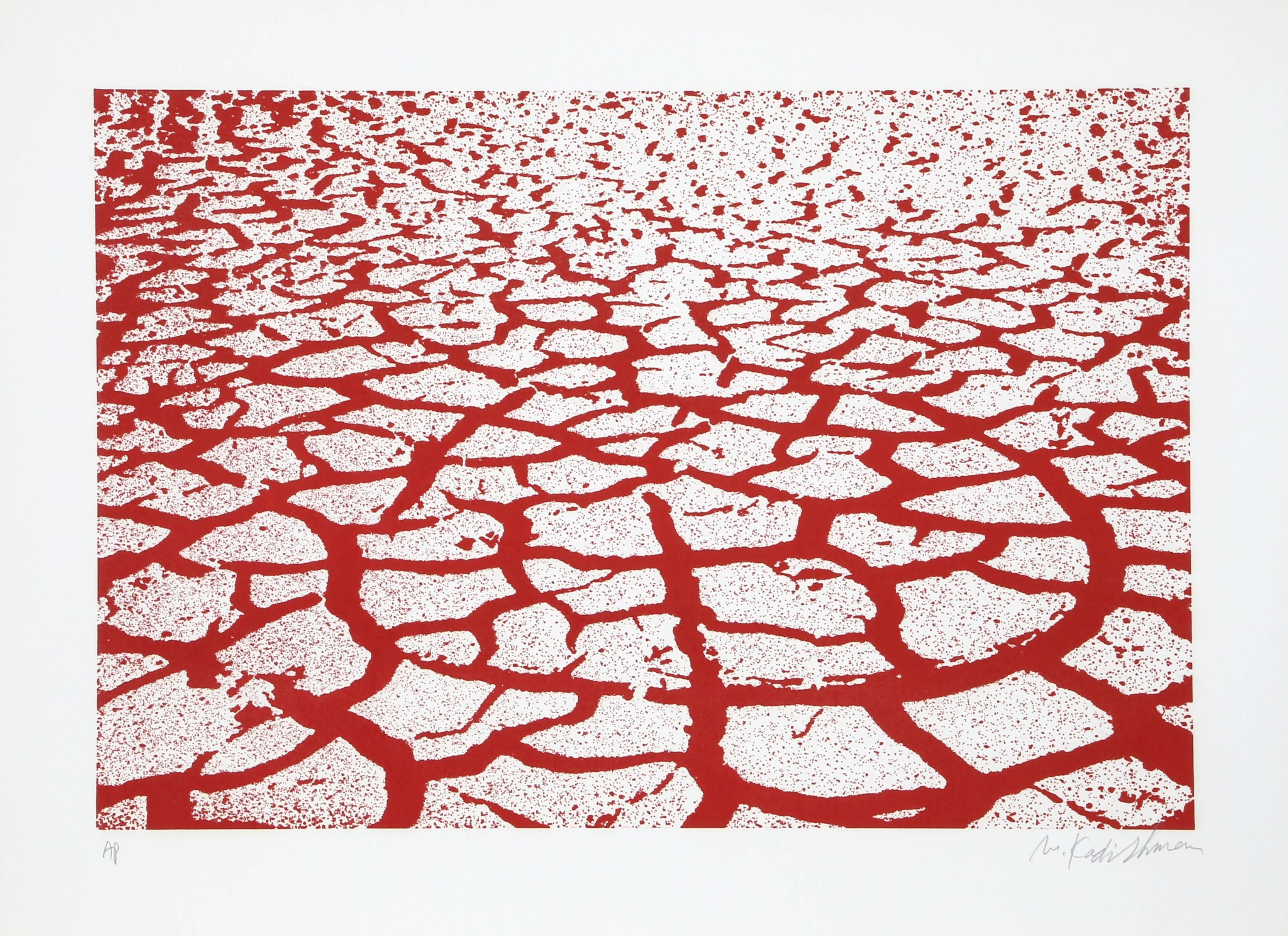 Artiste :  Menashe Kadishman, Israélien (1932 - 2015)
Titre :  Terre rouge
Année :  vers 1979
Moyen :  Eau-forte avec aquatinte, signée et numérotée au crayon
Edition :  50, AP
Taille de l'image : 20 x 29.5 pouces 
Taille :  31 x 39 in. (78.74 x