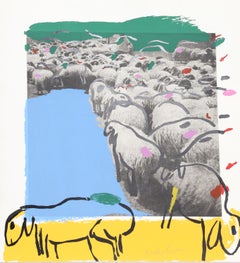 Sheep Portfolio 7