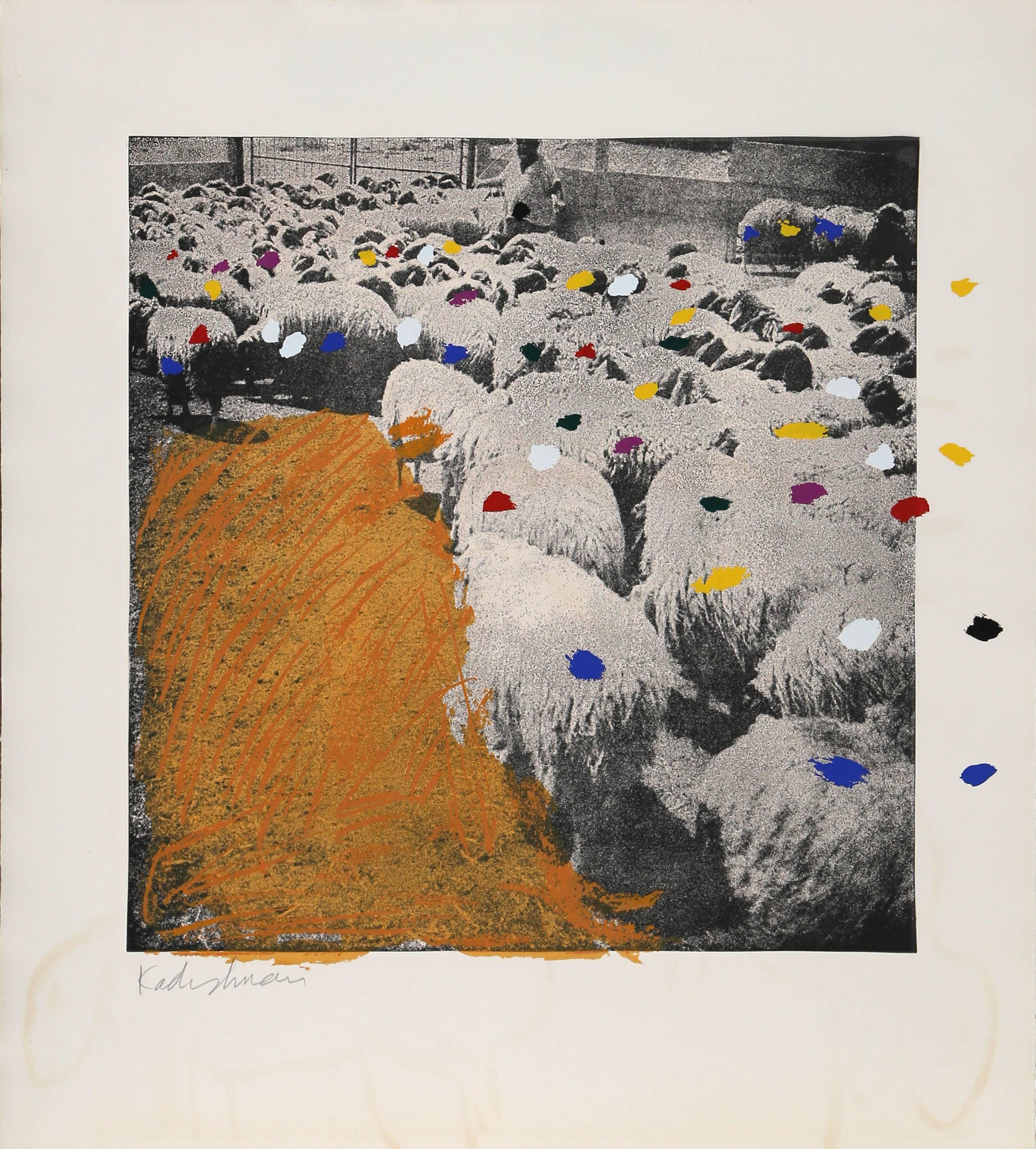 Sheep Portfolio von 7 Radierungen und Siebdrucken von Menashe Kadishman im Angebot 10