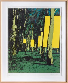 Conceptual Landscape Prints