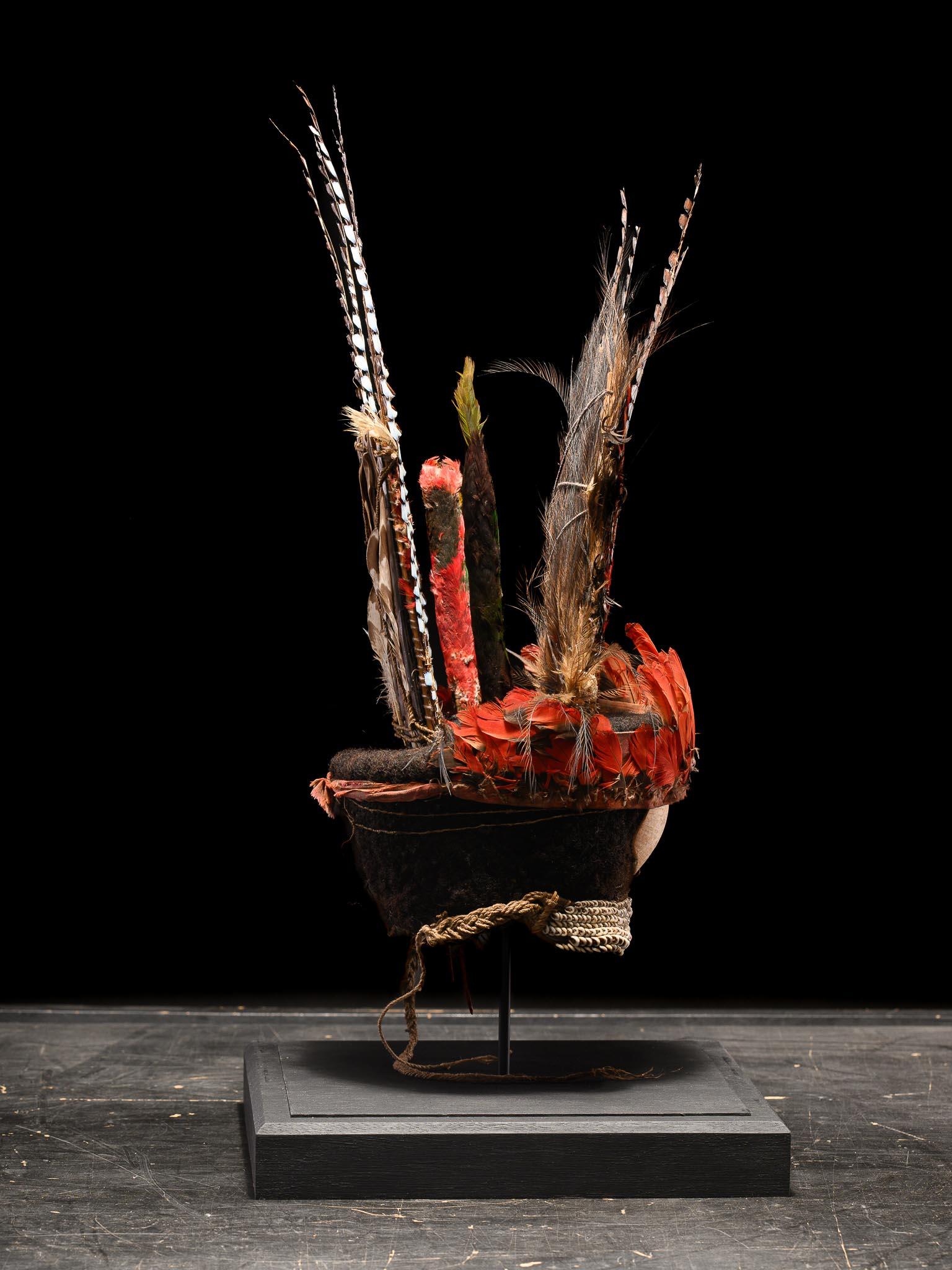 Mendi Ceremonial Headdress, Western Highlands, Papua New Guinea In Good Condition For Sale In Leuven , BE