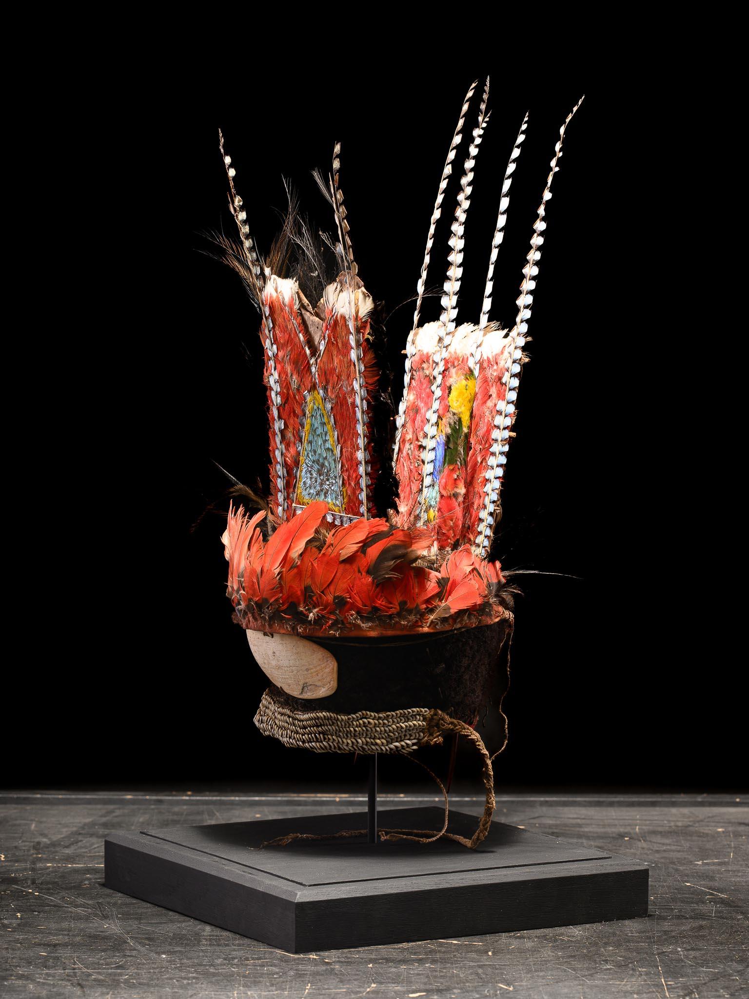 20ième siècle Coiffe de cérémonie Mendi, Western Highlands, Papouasie-Nouvelle-Guinée en vente