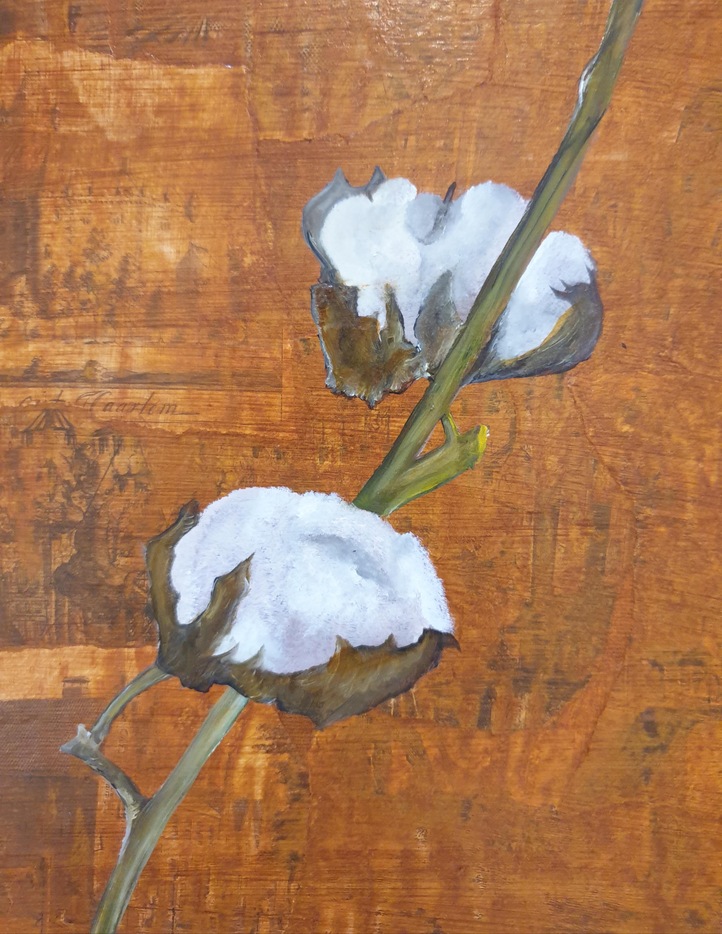 Cotton Ball. Contemporary Botanical Oil, Acrylic and découpage on Board. For Sale 1