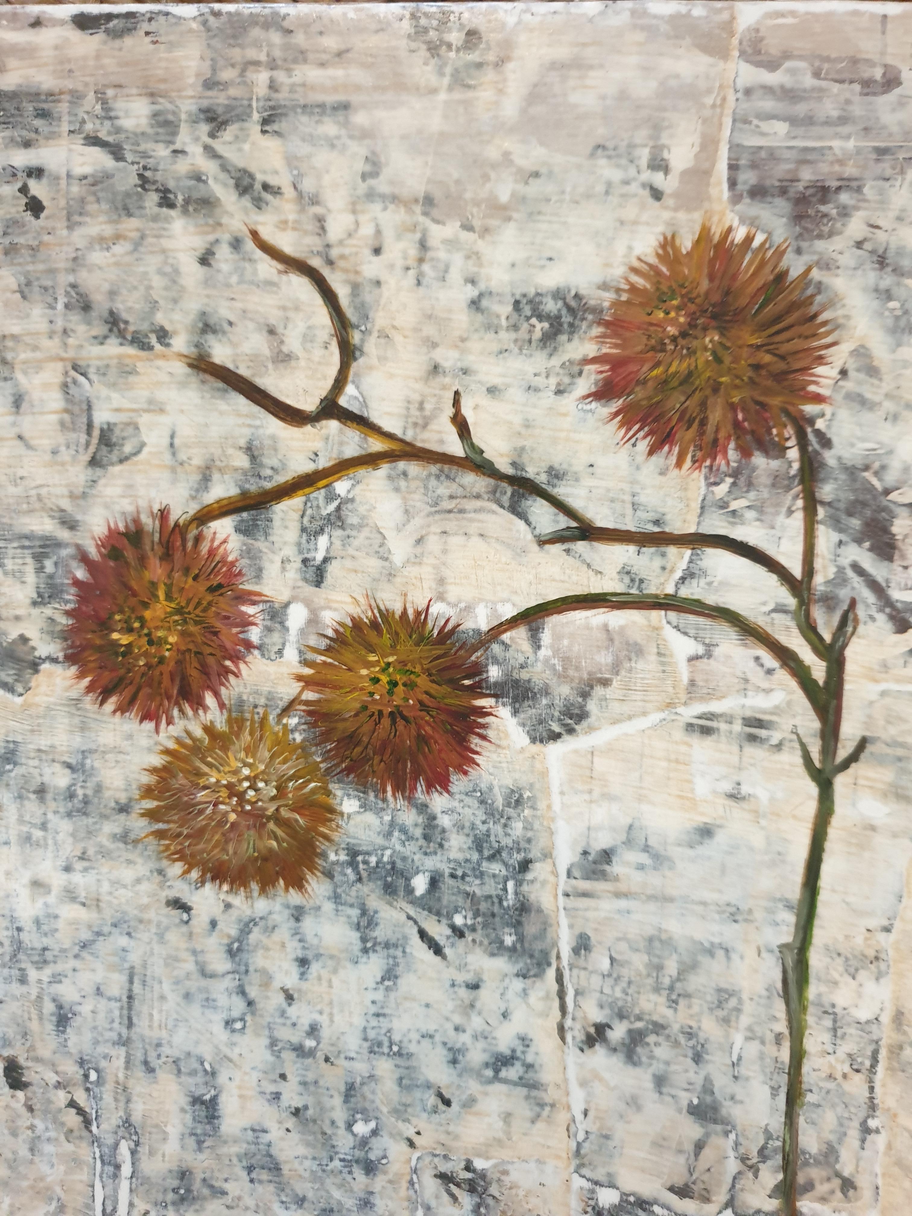 Gomphrena. Botanical Study, Dcoupage, Acryl, Öl und Mixed-Media auf Karton. (Zeitgenössisch), Mixed Media Art, von Menno Modderman 