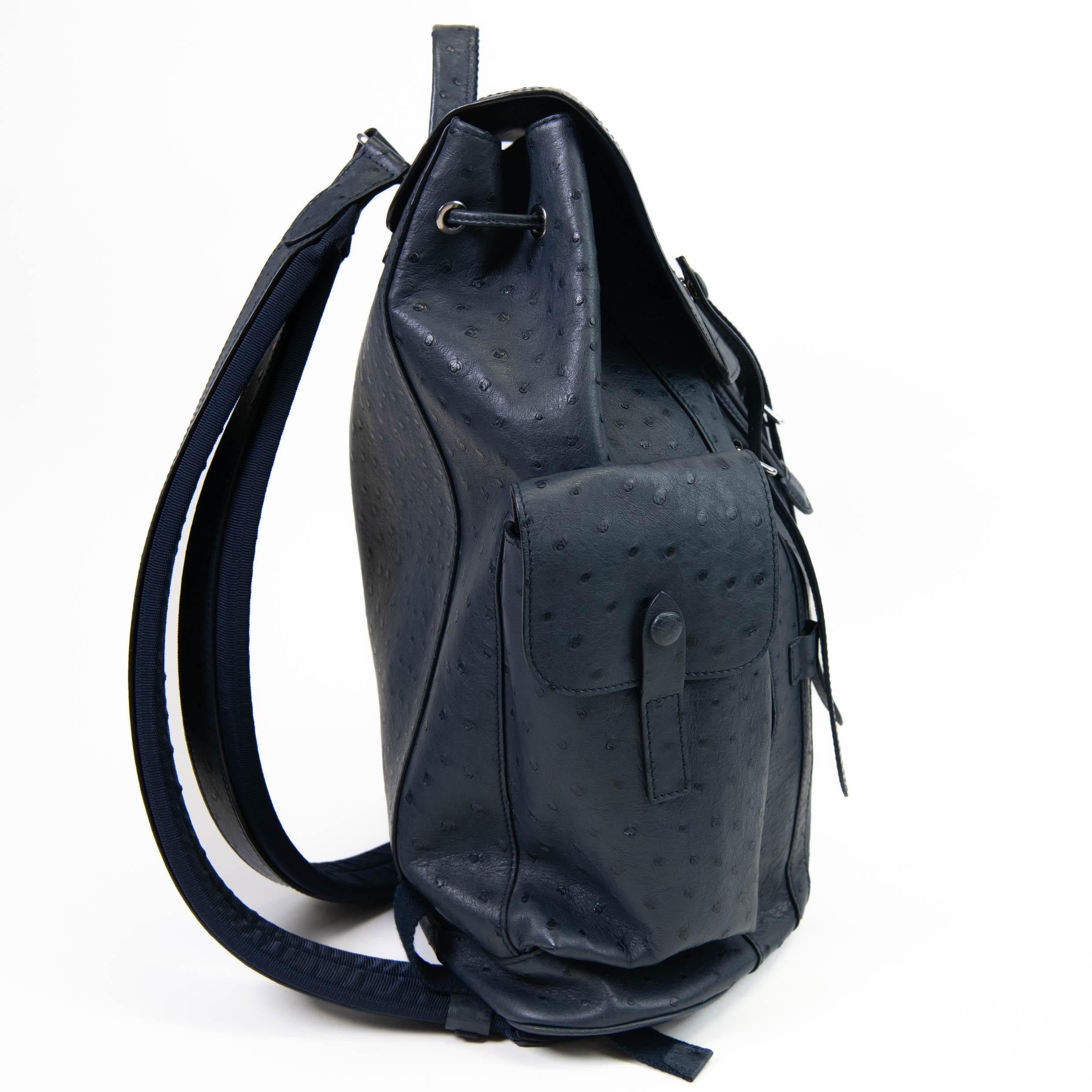 Men's Blue Ostrich Louis Vuitton Christopher Backpack In Excellent Condition In Corona Del Mar, CA