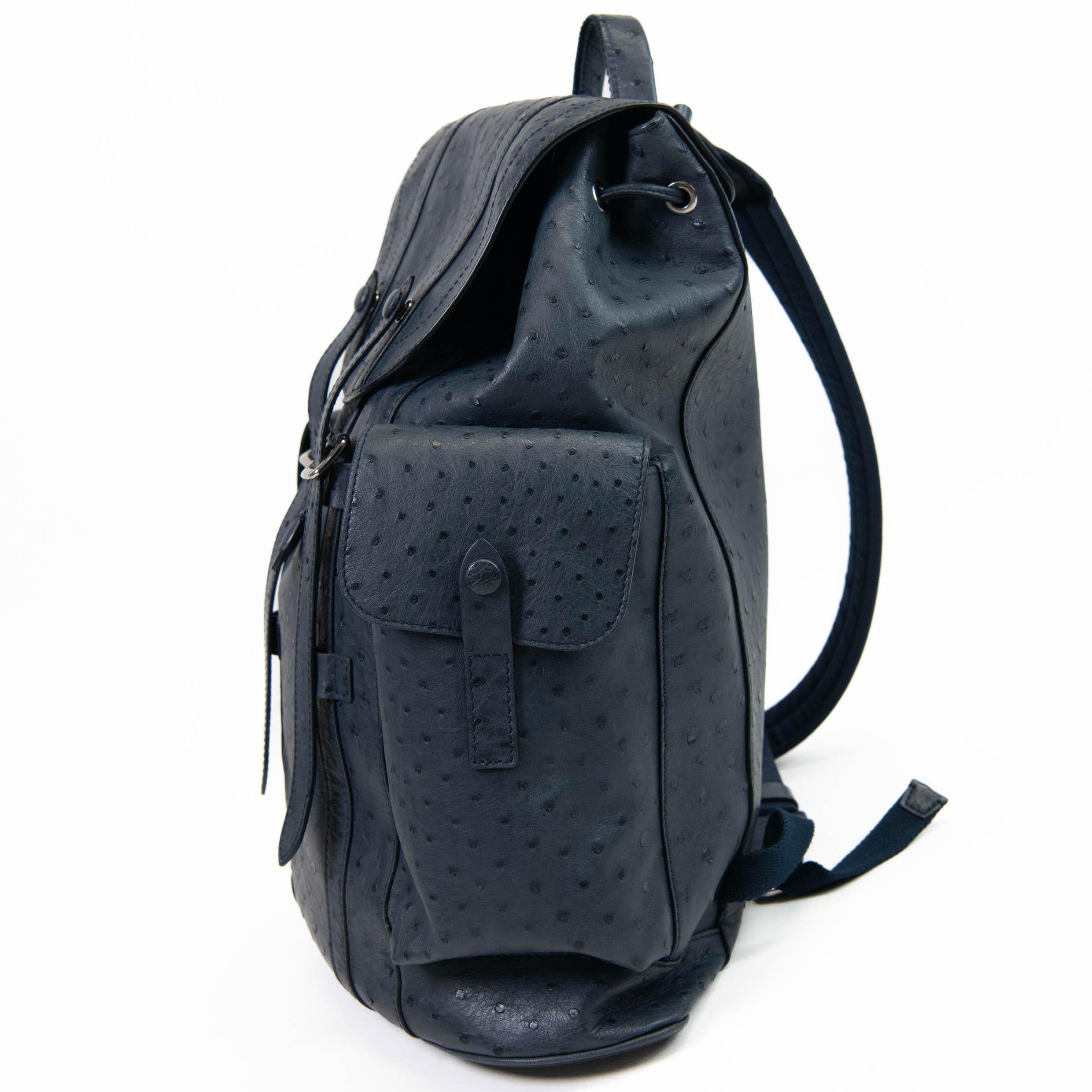 Women's or Men's Men's Blue Ostrich Louis Vuitton Christopher Backpack