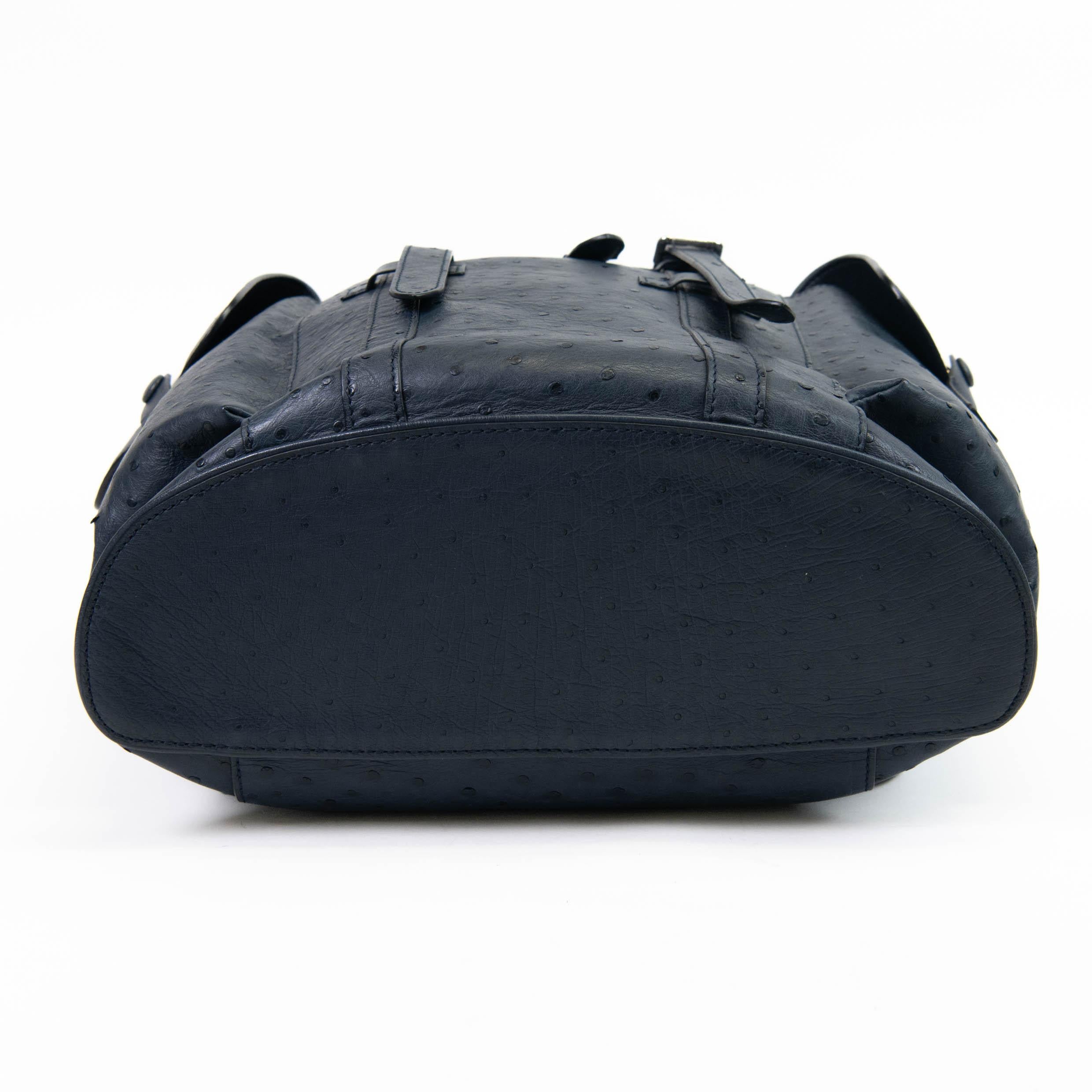 Men's Blue Ostrich Louis Vuitton Christopher Backpack 1