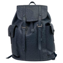 Men's Blue Ostrich Louis Vuitton Christopher Backpack