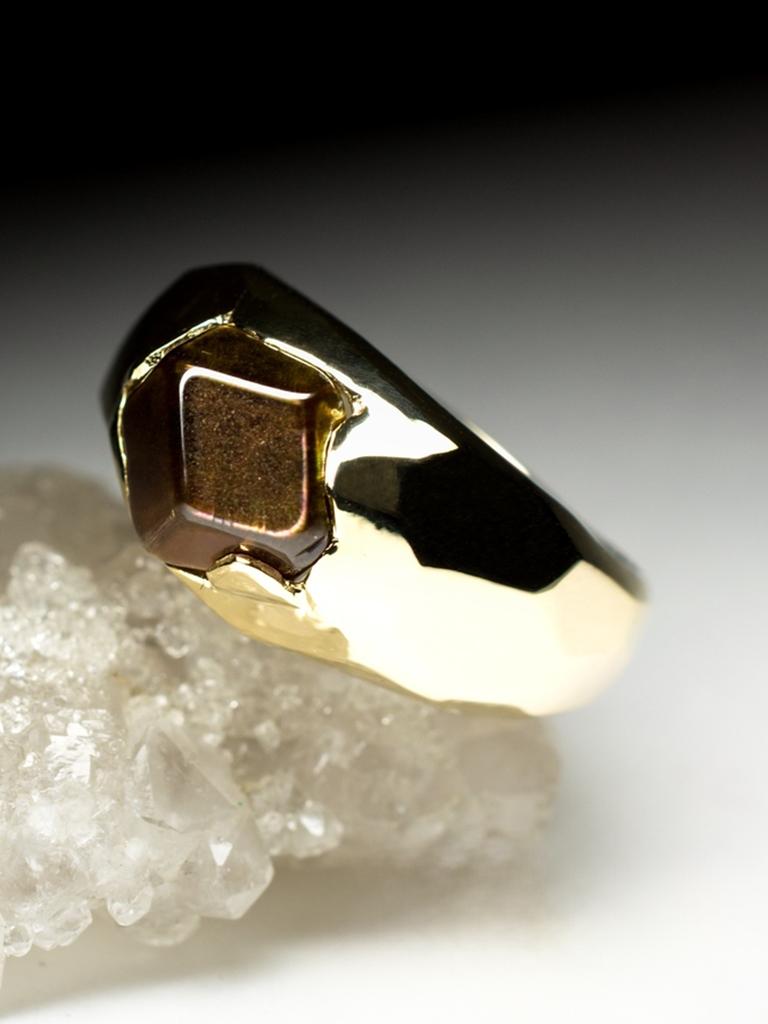 Men's Fire Garnet Gold Ring Faceted Hickory Brown Natural Japanese Stone Unisex For Sale 4