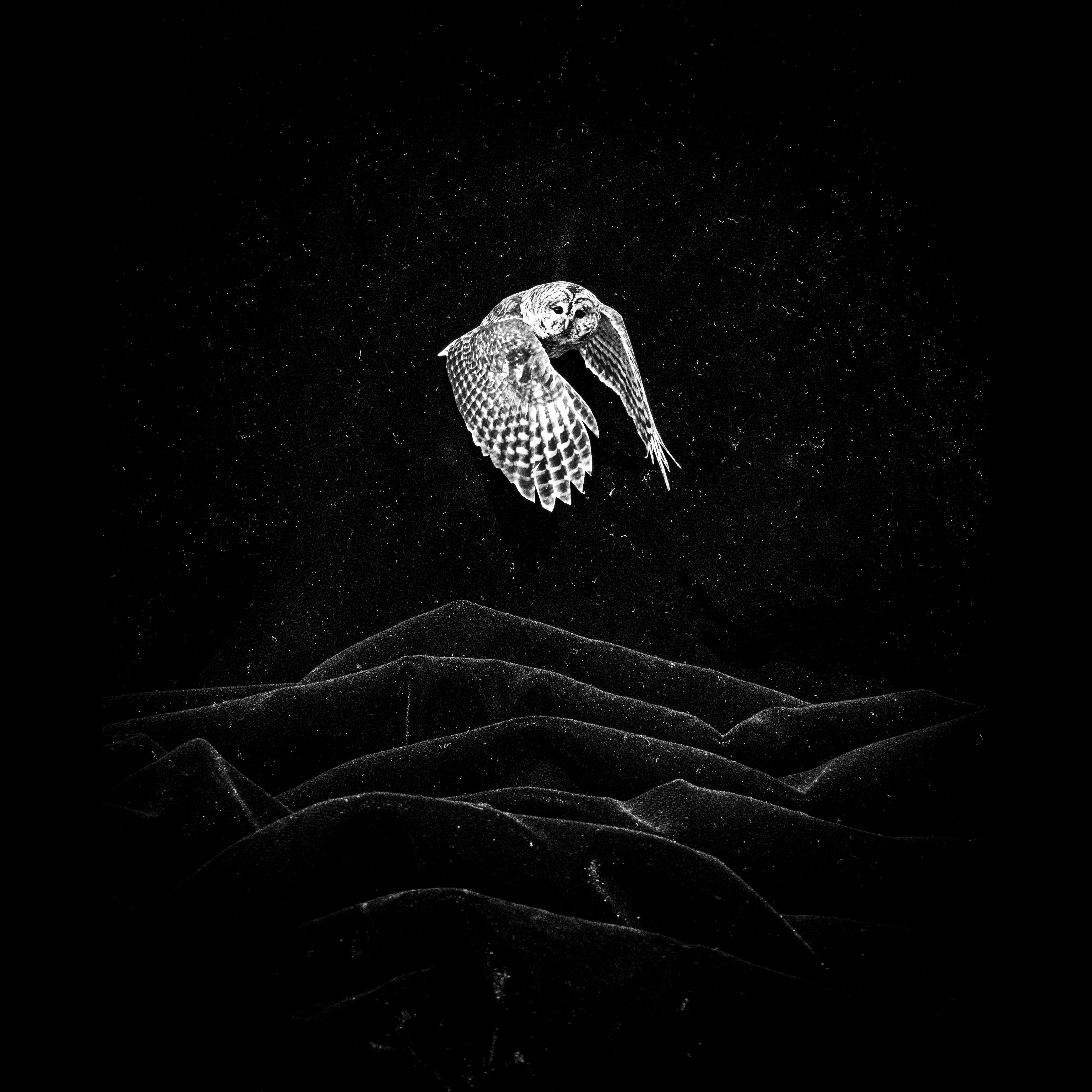 Black and White Photograph Mercedes Jelinek - Rough Seas #1