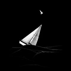 Black and White Photography