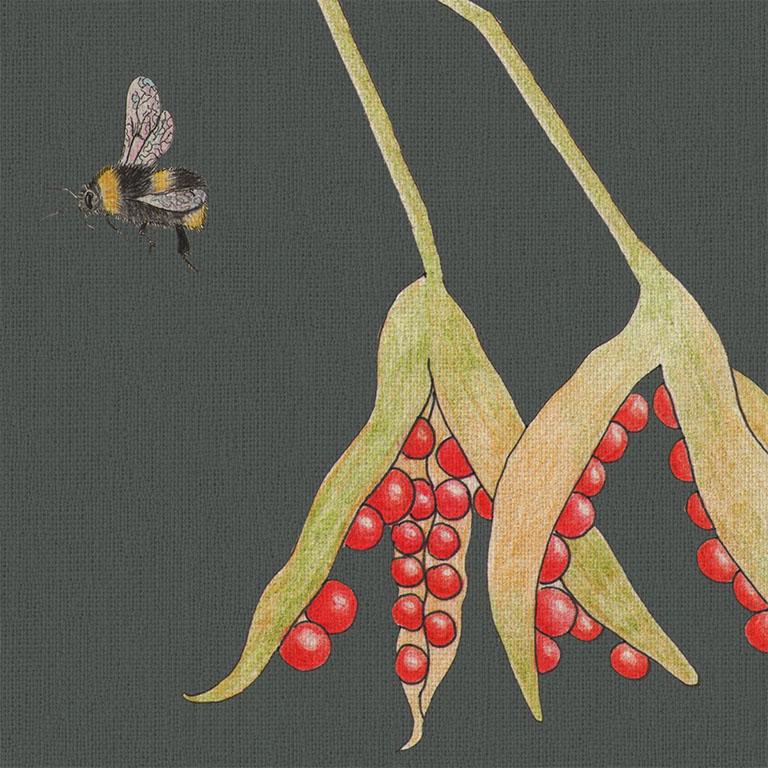 Mercia Vines Slate botanische Vögel und Bienen-Tapete (Englisch) im Angebot
