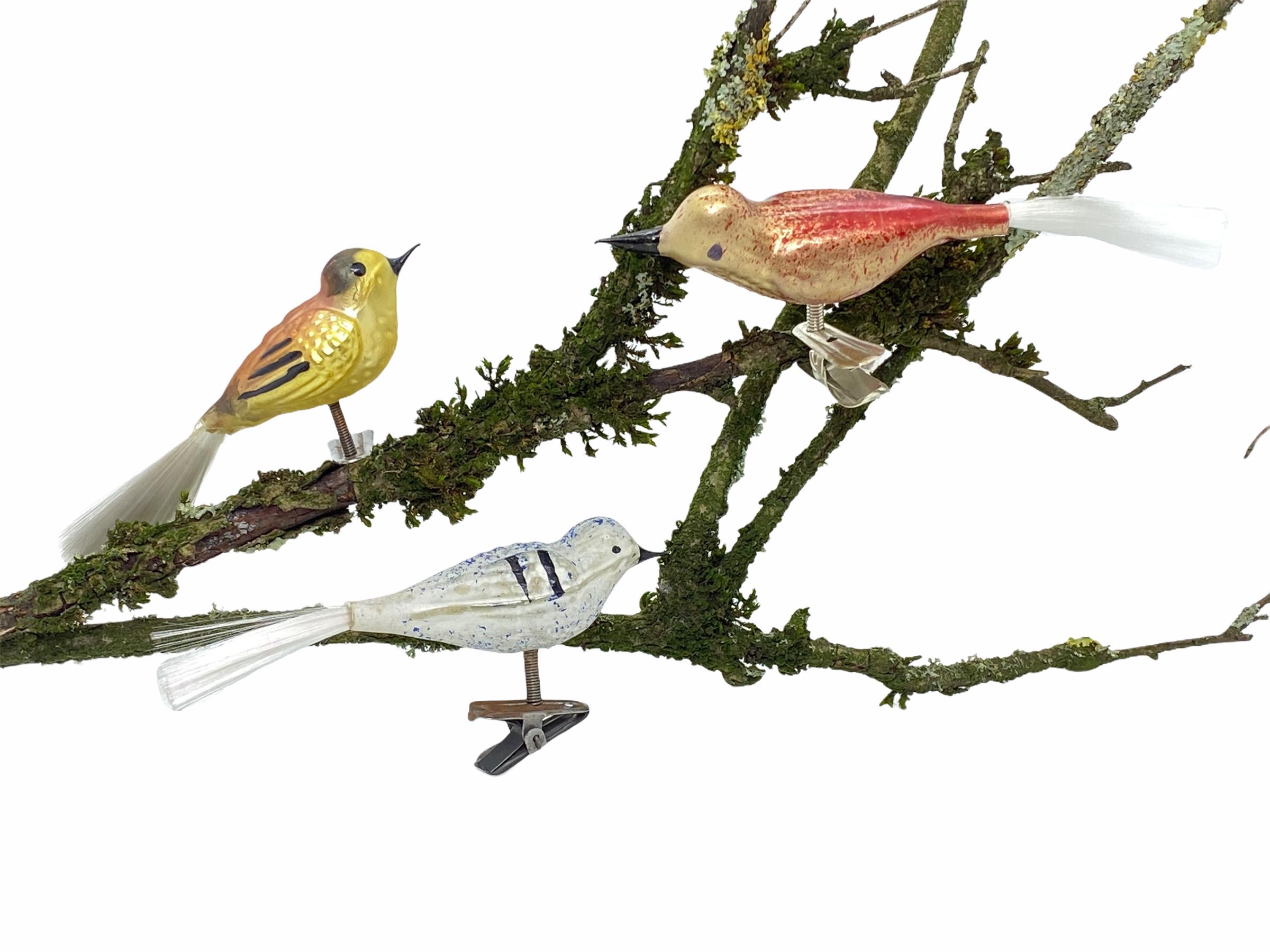 A rare vintage clip-on bird ornament collection. Tallest one measures approximate 1 5/8