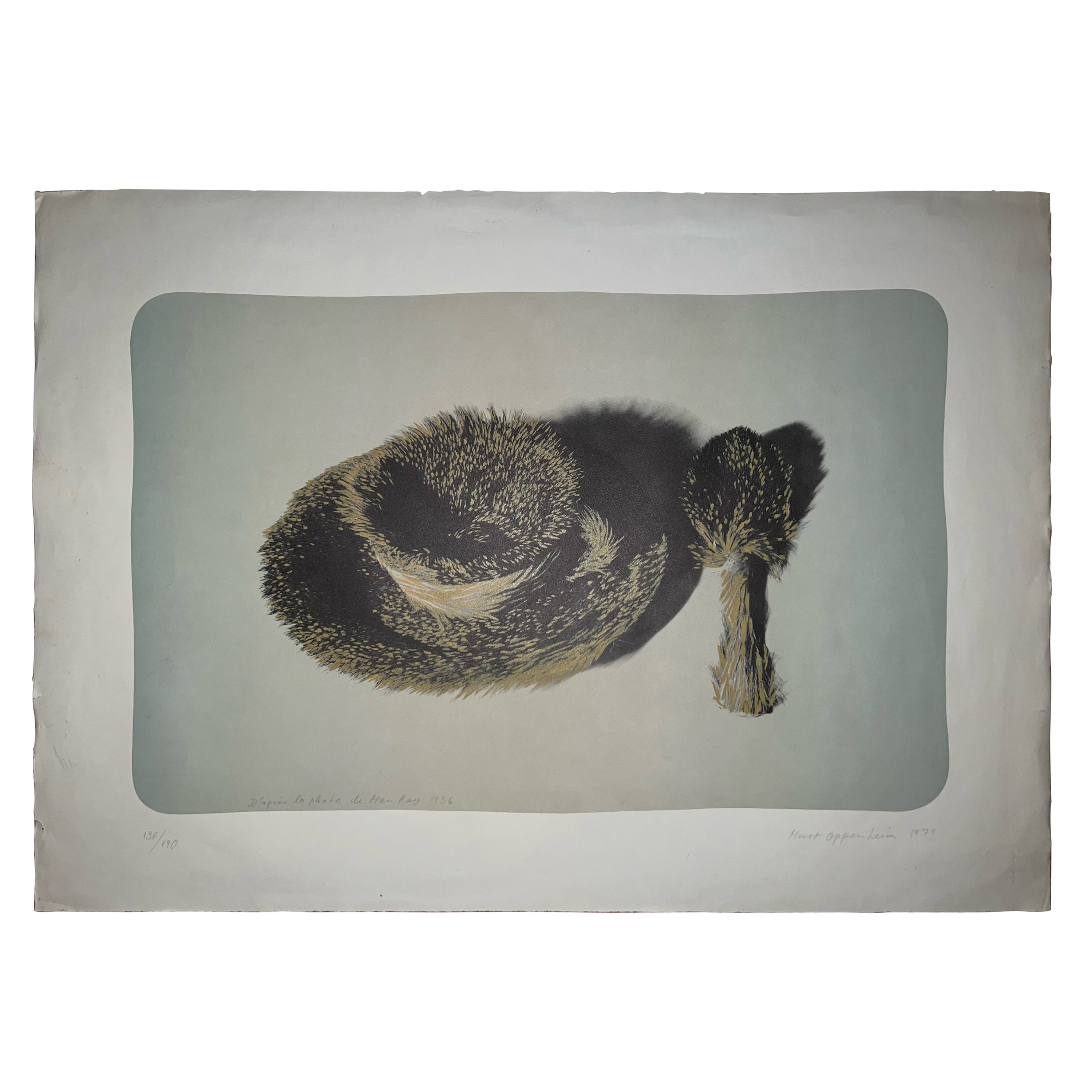 Méret Oppenheim and Man Ray Print Fur Cup Object, 1971, Signed in Pencil