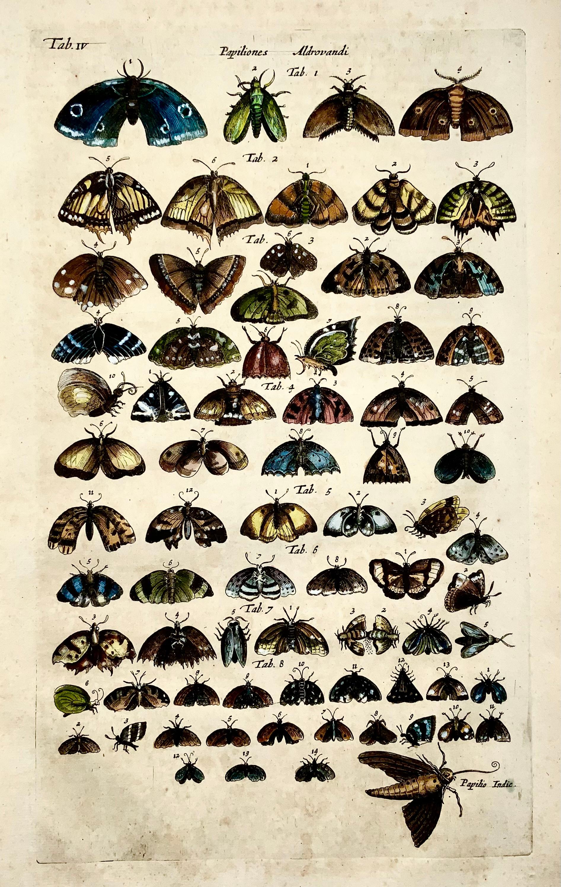 Folio Leaf: 37 x 23 cms.

Hand colored copper engraving.

Matthäus Merian der Ältere (or 