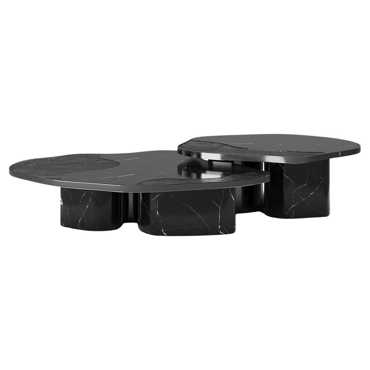 Merida All Black Marble Set of 2 Coffee table For Sale at 1stDibs