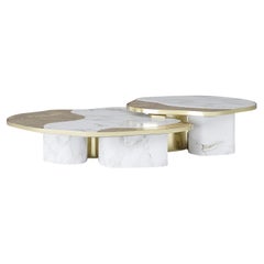 Merida White Marble Set of 2 Coffee Table