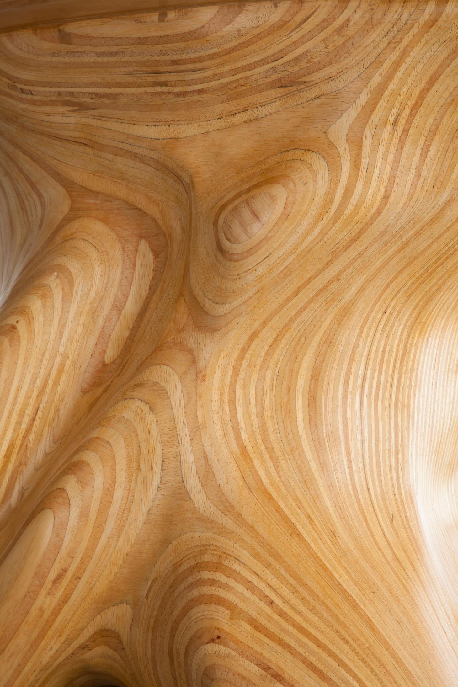 Contemporary Mesa Baum Oval Table in Sumauma Wood by Julia Krantz, 2005