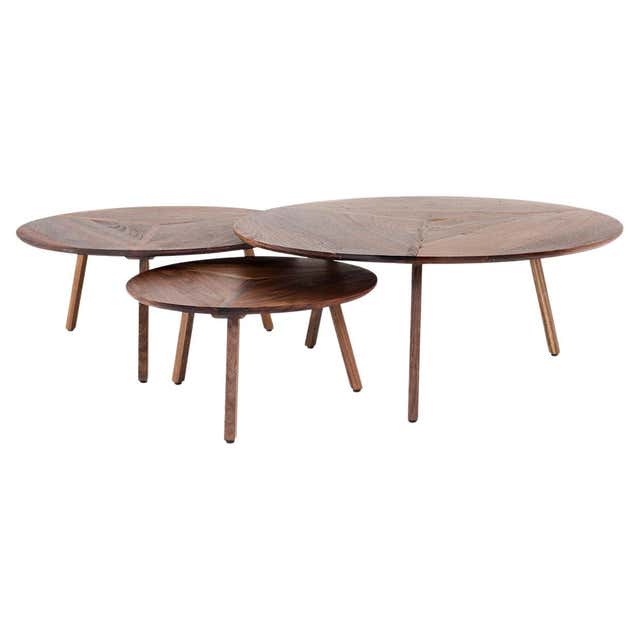 Organic Ameba Shape Molded Plywood Multi Layer Mesa Coffee Table at ...
