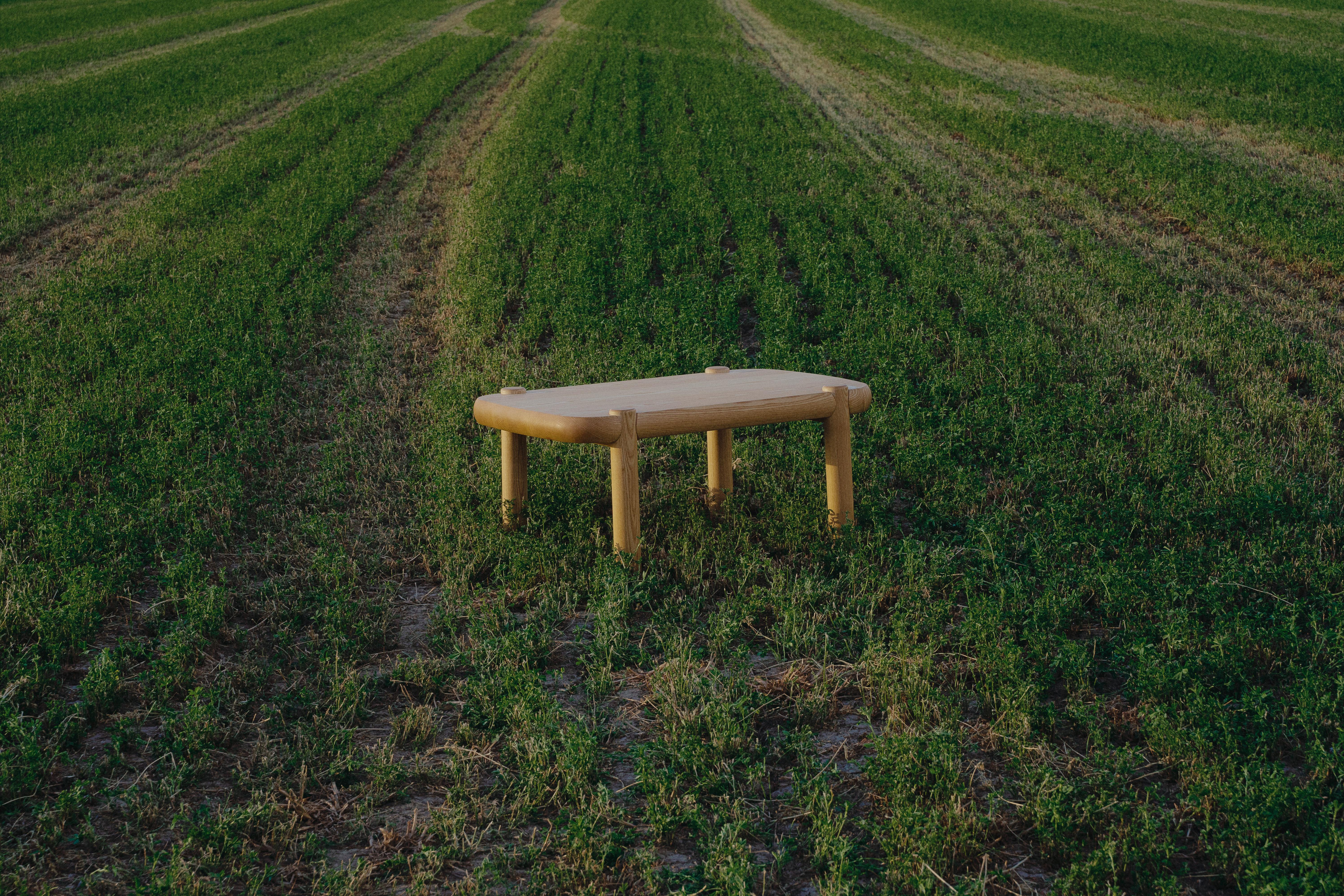 Mesitacafé American Ash Coffee Table by Marco Calhau
Dimensions: D 60 x W 100 x H 45 cm.
Materials: Solid American Ash timber wood.

All pieces are handmade and under order at our workshop in Zaragoza, Spain. Custom dimensions, custom timber, or