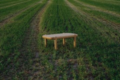 Mesitacafé Couchtisch aus amerikanischer Esche von Marco Calhau