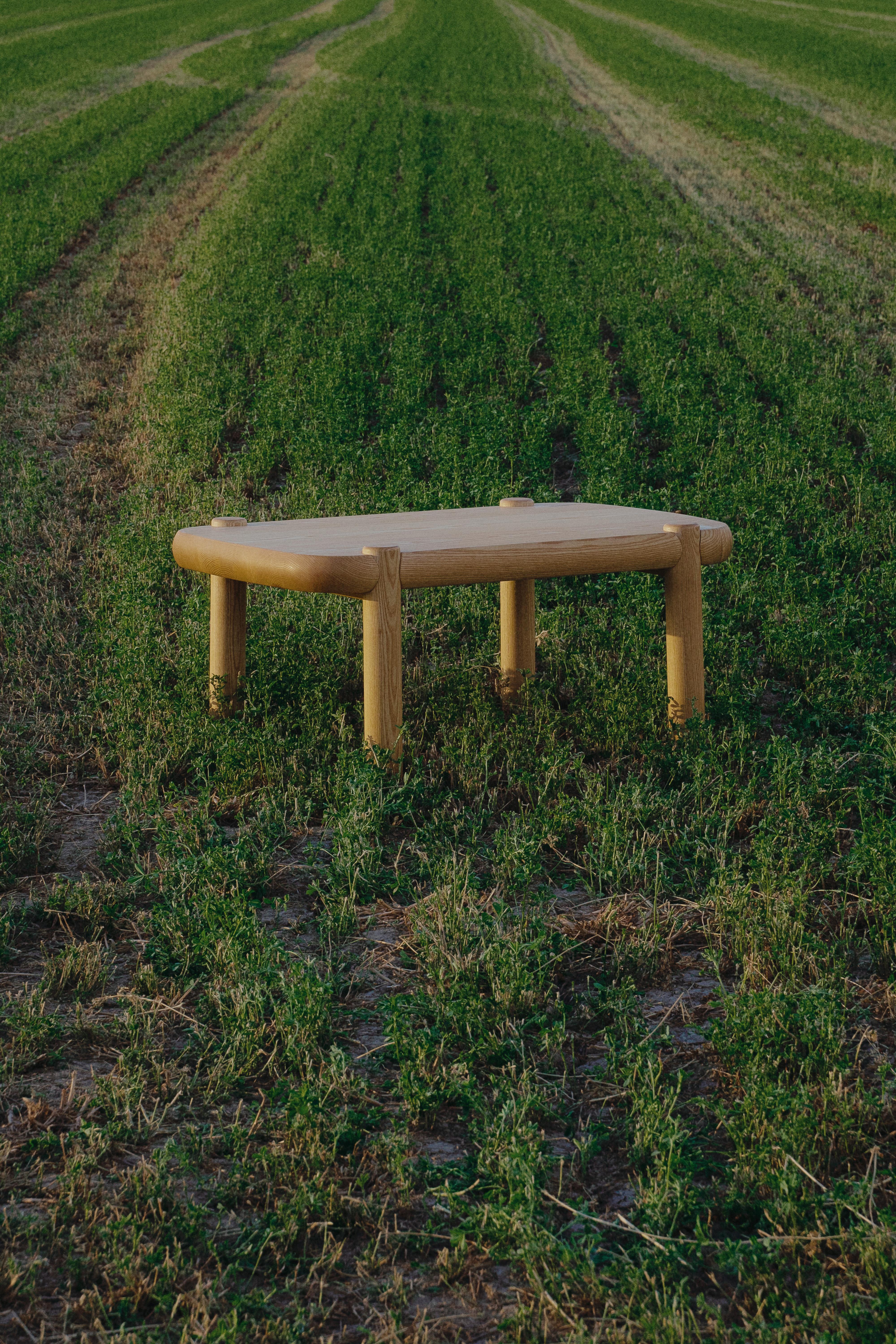Mesitacafé American Ash Coffee Table by Marco Calhau For Sale 4
