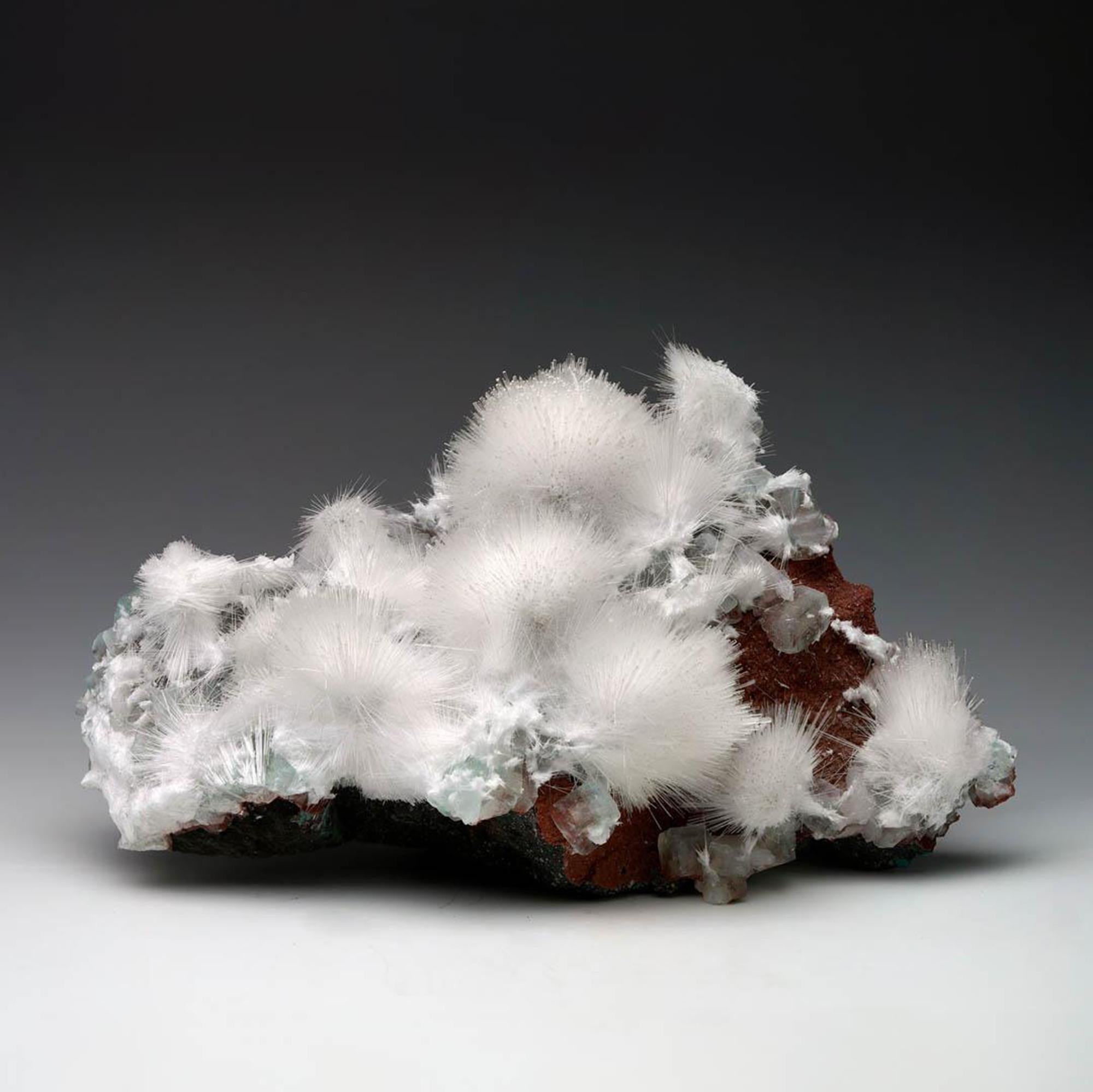 This rare combination specimen features fine, radiating sprays of white Mesolite layered atop gemmy Apophyllite crystals all set on a rich red Heulandite matrix. Sourced from a remarkably limited pocket in India, this piece showcases an exceptional