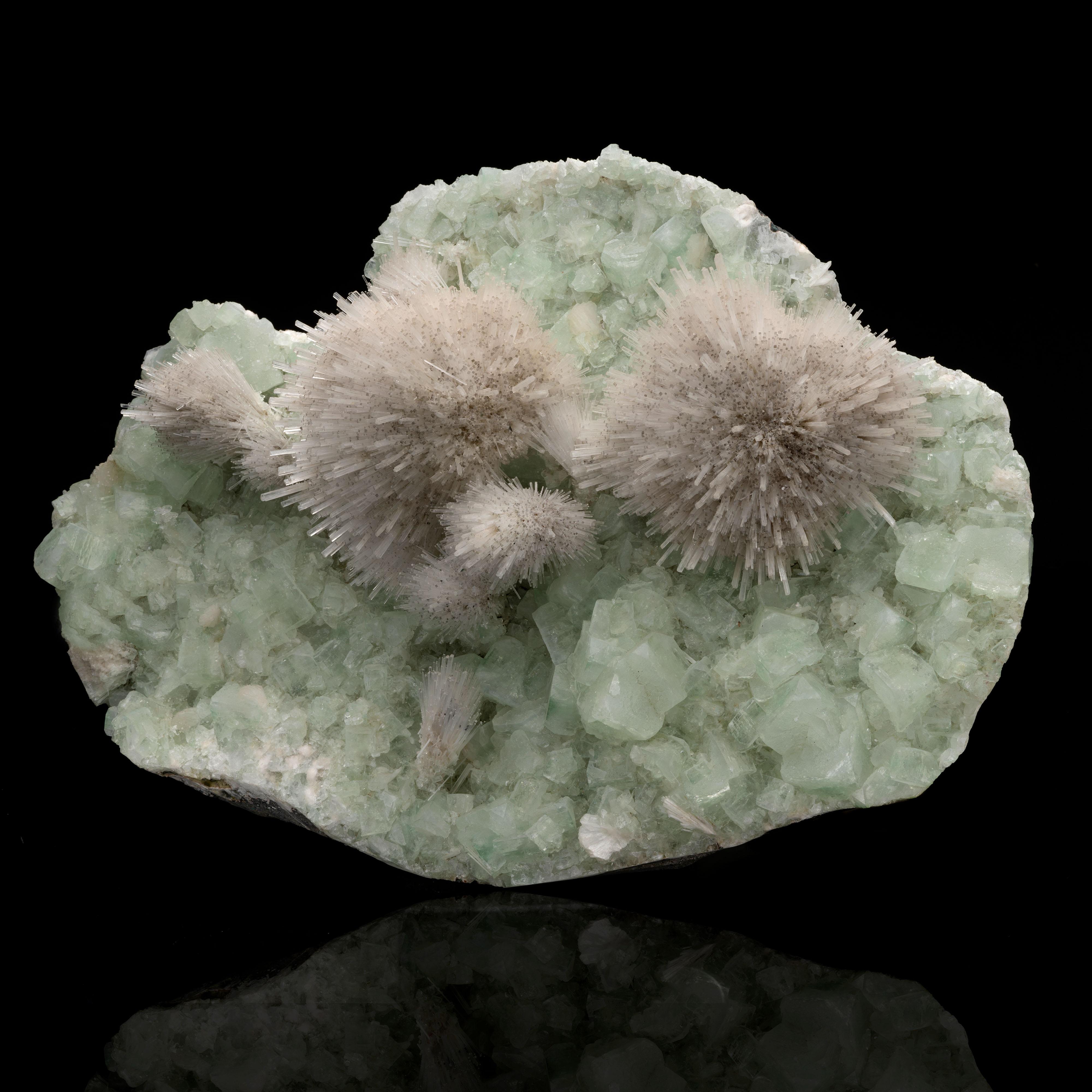Indian Mesolite on Green Apophyllite From India For Sale