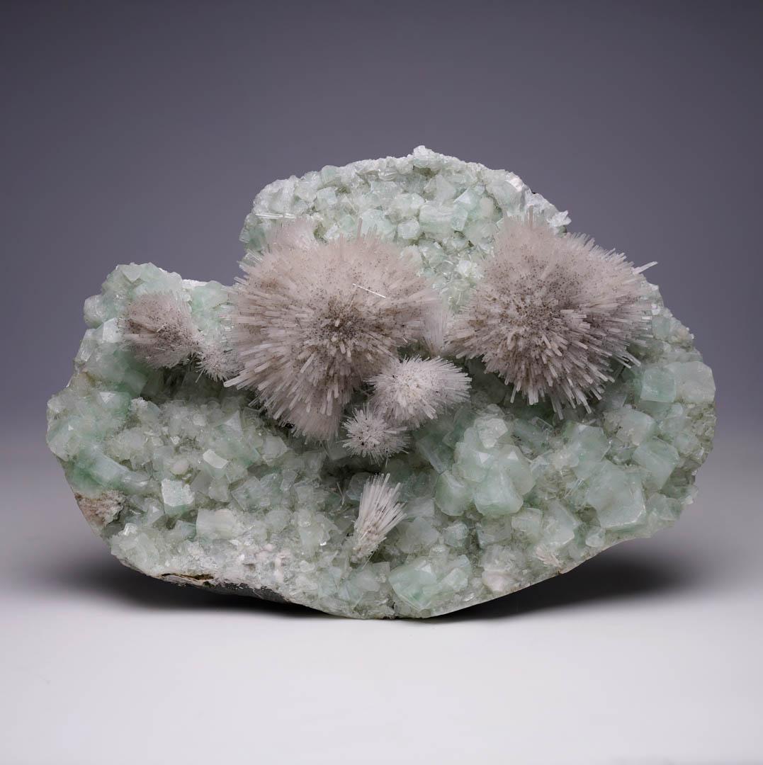 This cabinet-size specimen from the Puna District of India features a pristine 180-degree explosion of radial mesolite sprays atop a bed of mint-green apophyllite crystals. A true museum-quality zeolite mineral, this natural formation displays