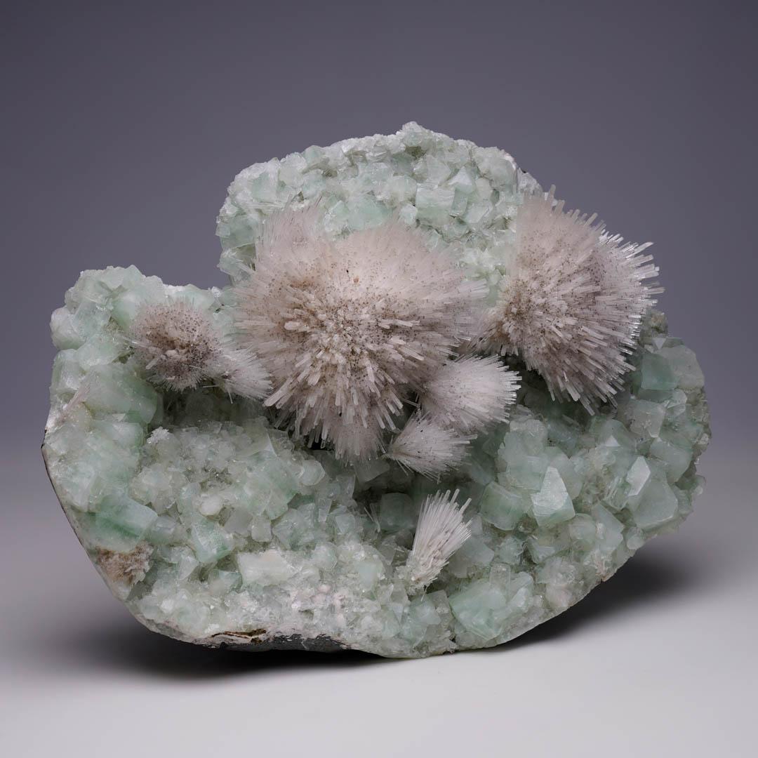 Indian Mesolite on Green Apophyllite From Puna, India For Sale
