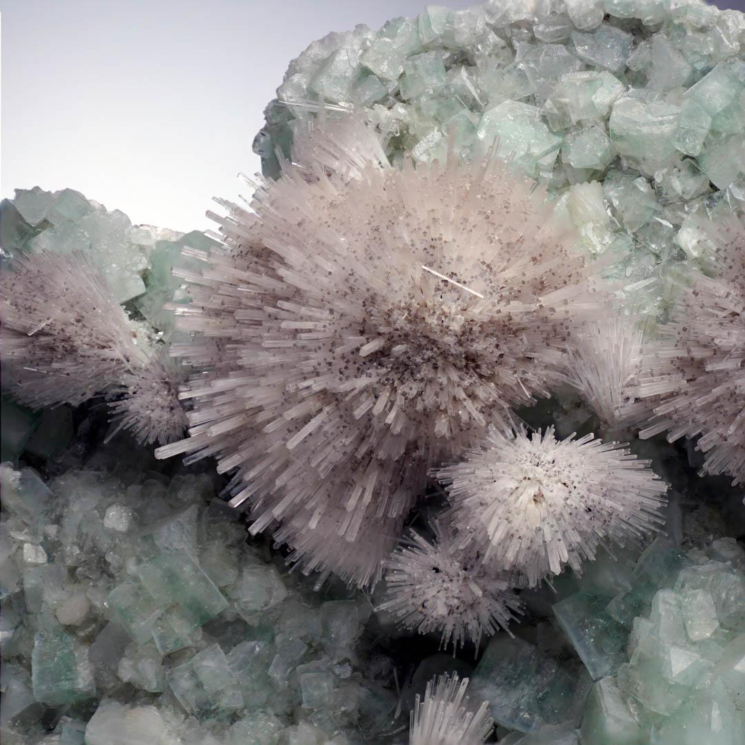 Crystal Mesolite on Green Apophyllite From Puna, India For Sale