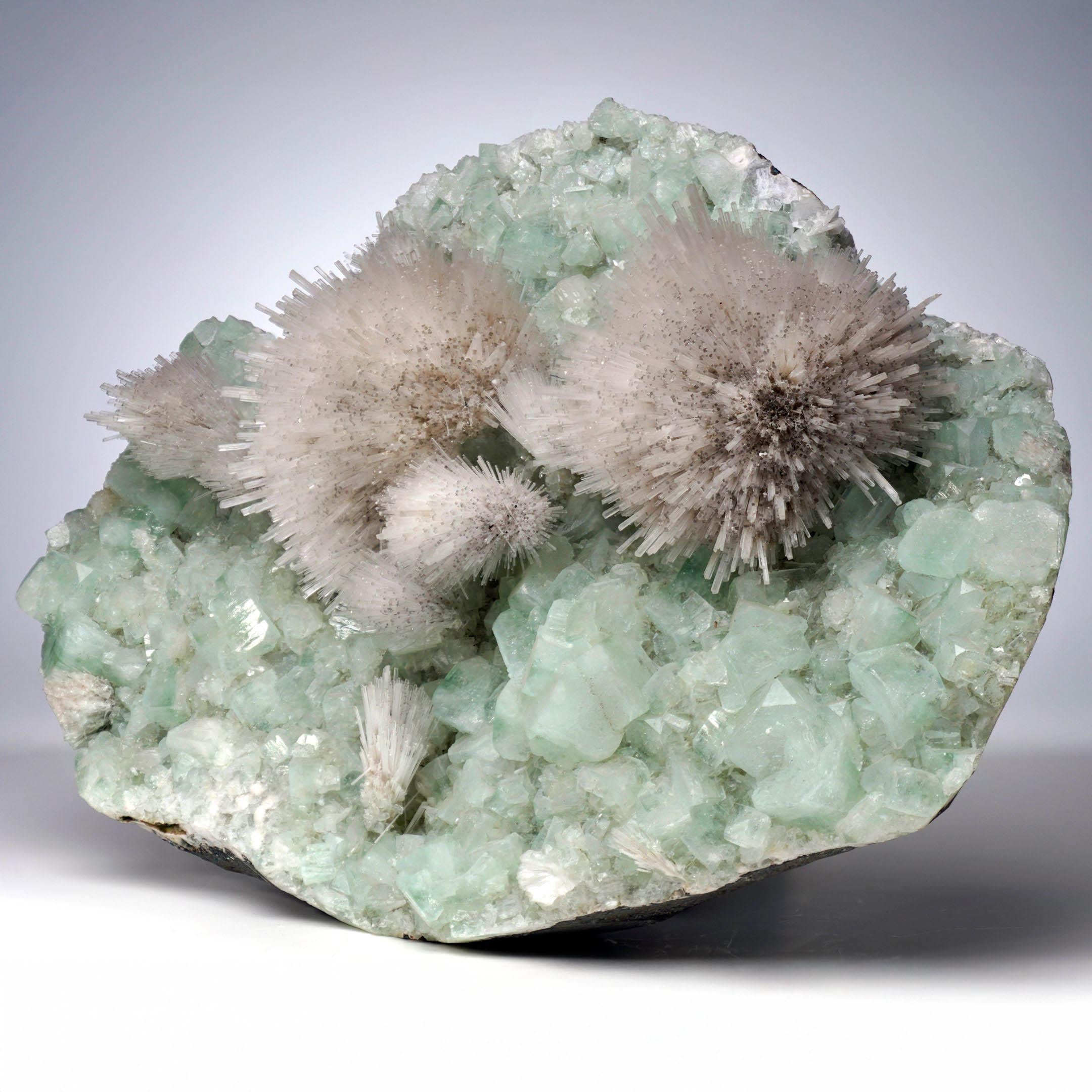 Mesolite on Green Apophyllite From Puna, India For Sale 1