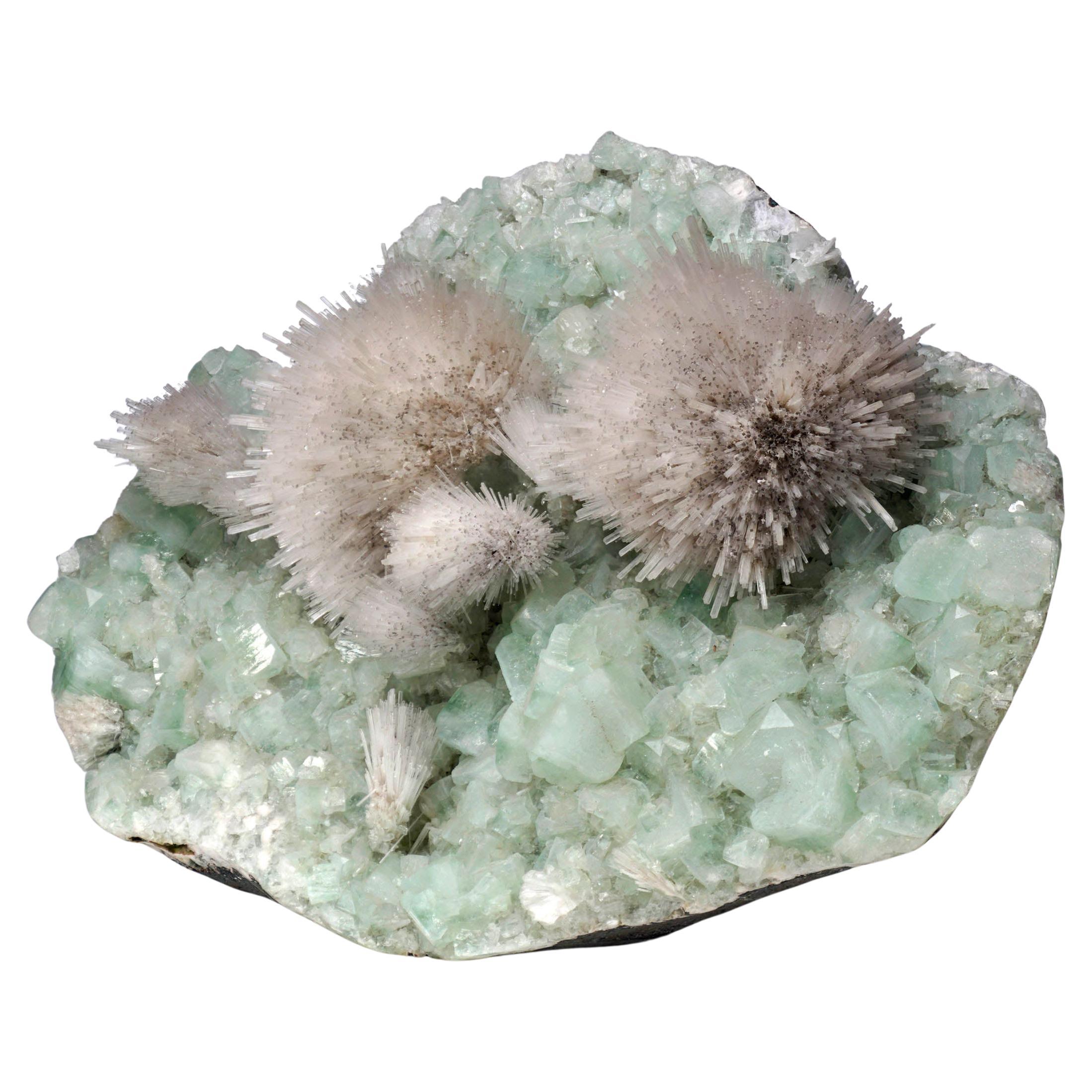 Mesolite on Green Apophyllite From Puna, India For Sale