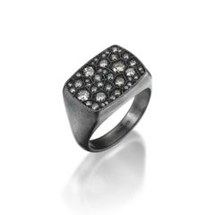 Grey Rectangular Mesopotamian Inspired Euphrates Turtle Ring in Silver