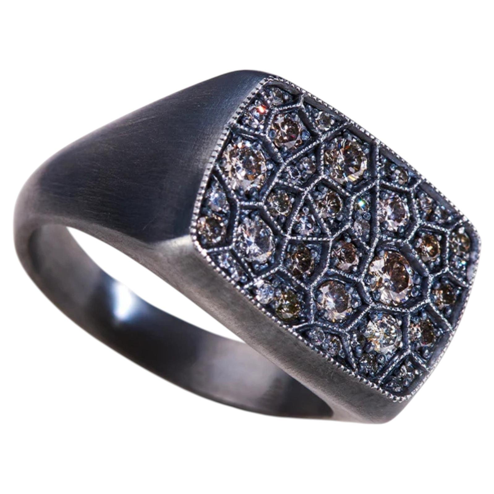 Grey Rectangular Mesopotamian Inspired Euphrates Turtle Ring in Silver For Sale