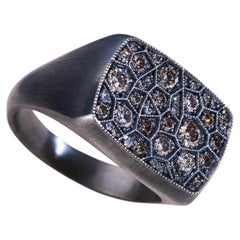 Grey Rectangular Mesopotamian Inspired Euphrates Turtle Ring in Silver