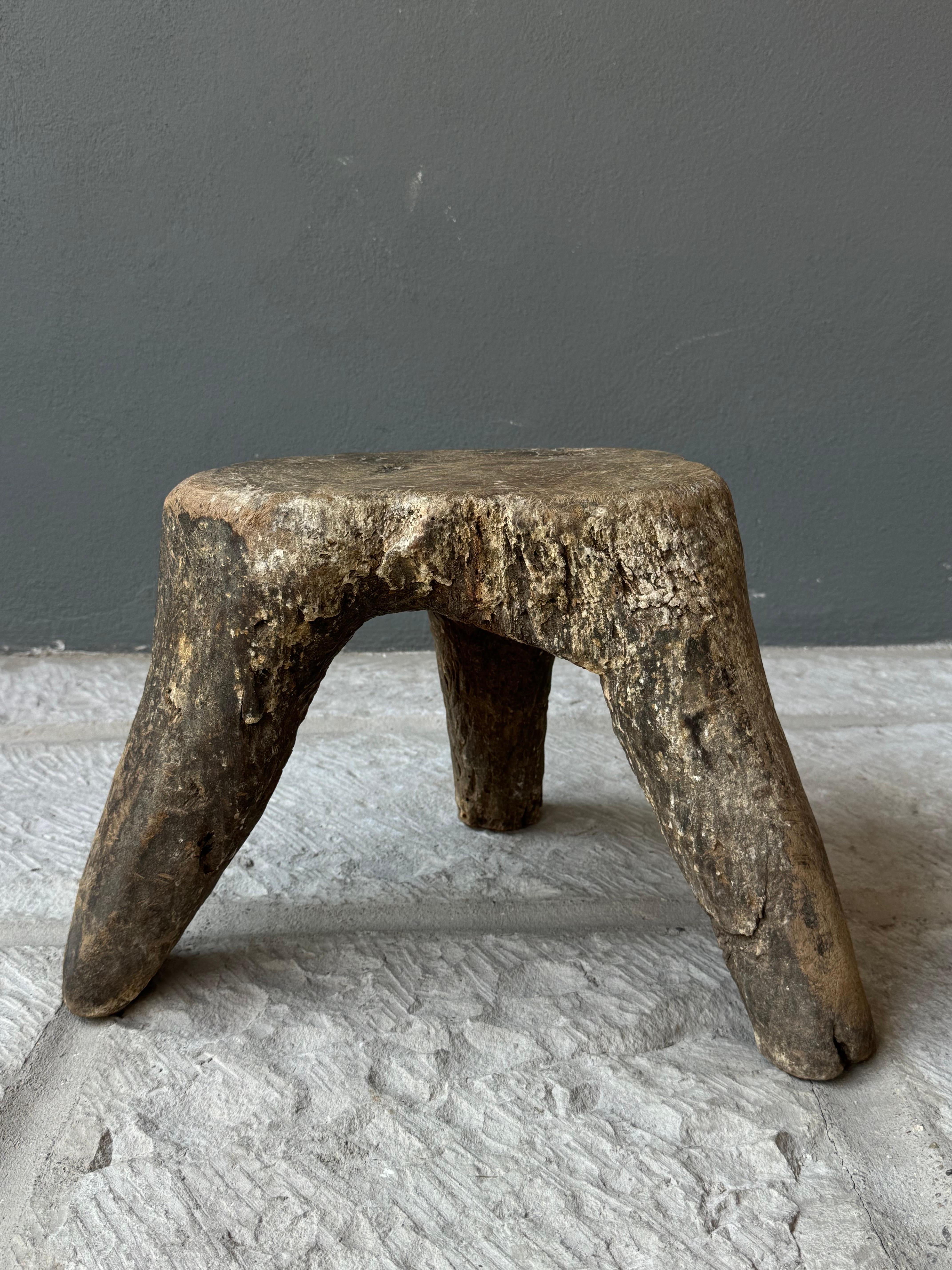 Mesquite Primitive Stool From Guanajuato, Mexico, Circa 19th Century 2