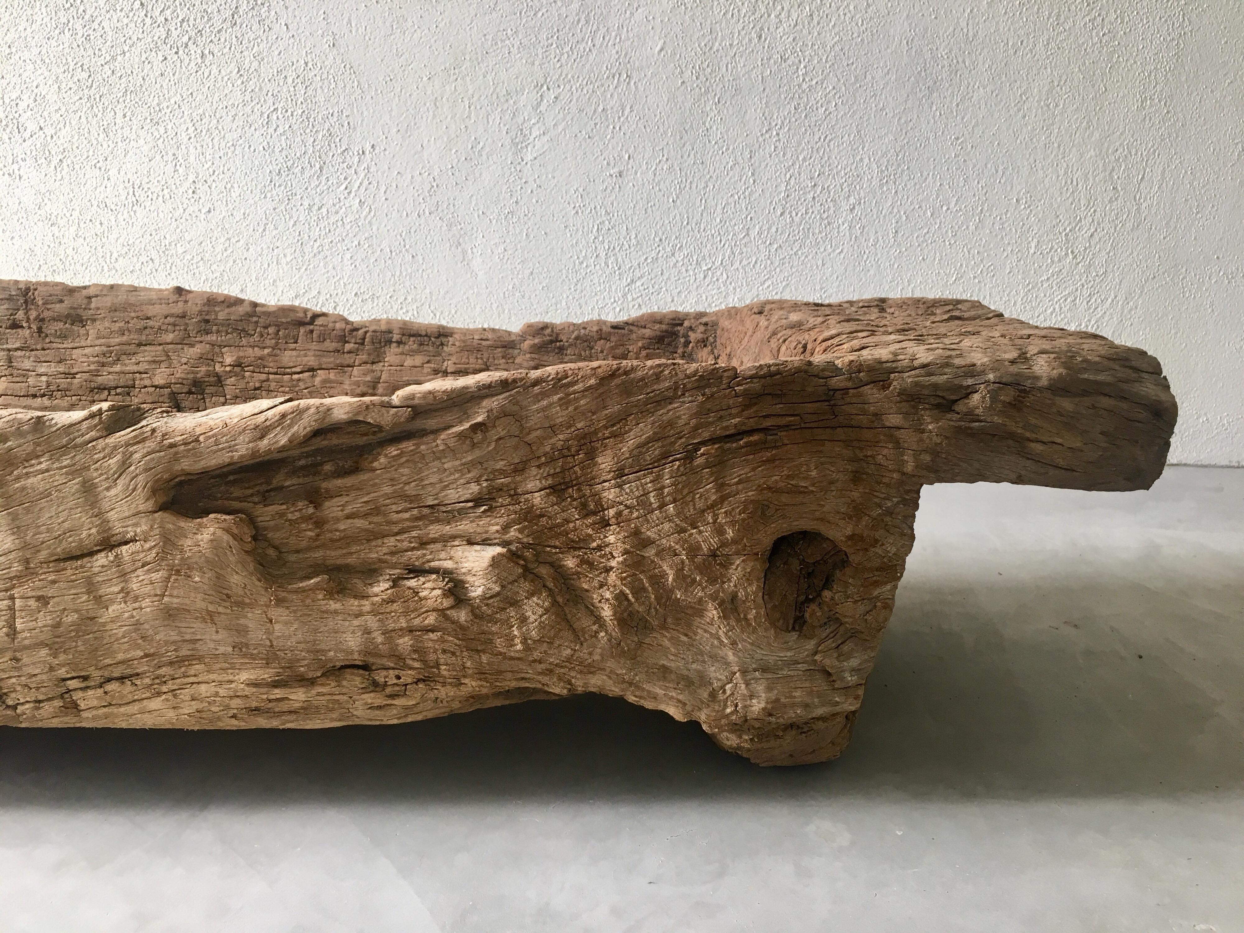 Mesquite Trough from Mexico 2
