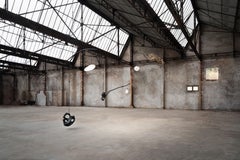 Unique Black Carved Forms, Floating Organic Shapes Suspension by Jérôme Pereira