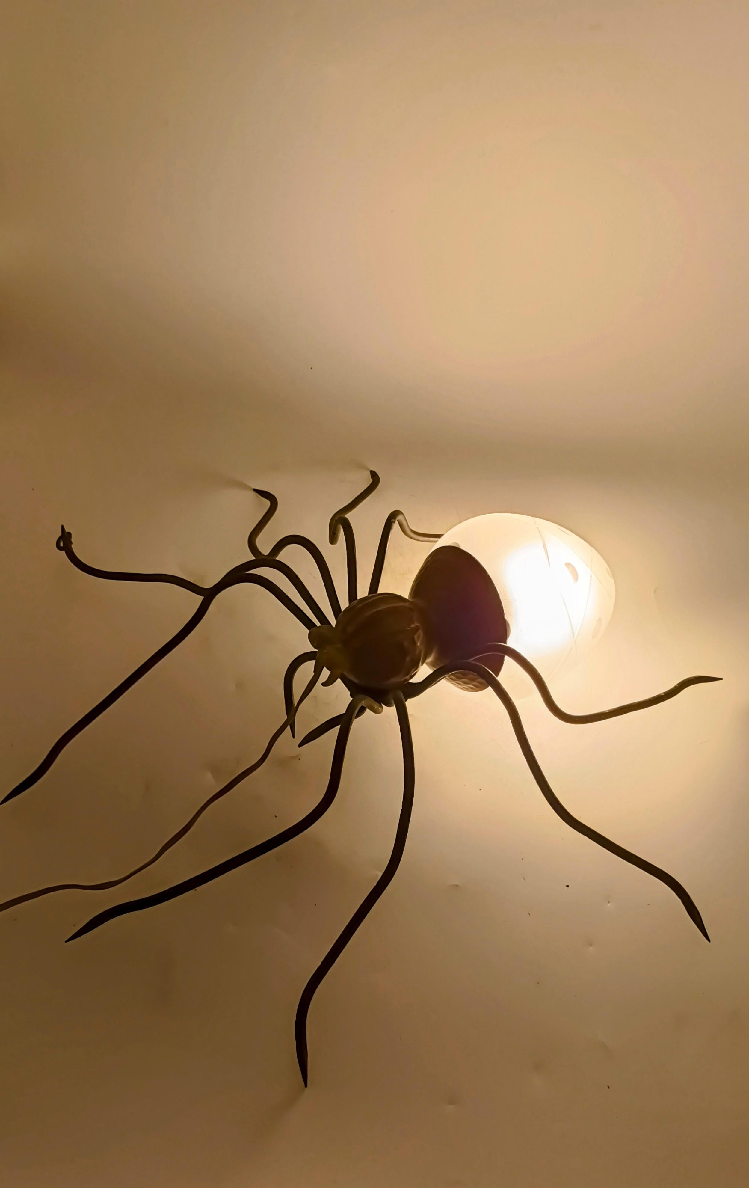 Metal and Glass Spider Wall Lamp, Italy, 1950s For Sale 1