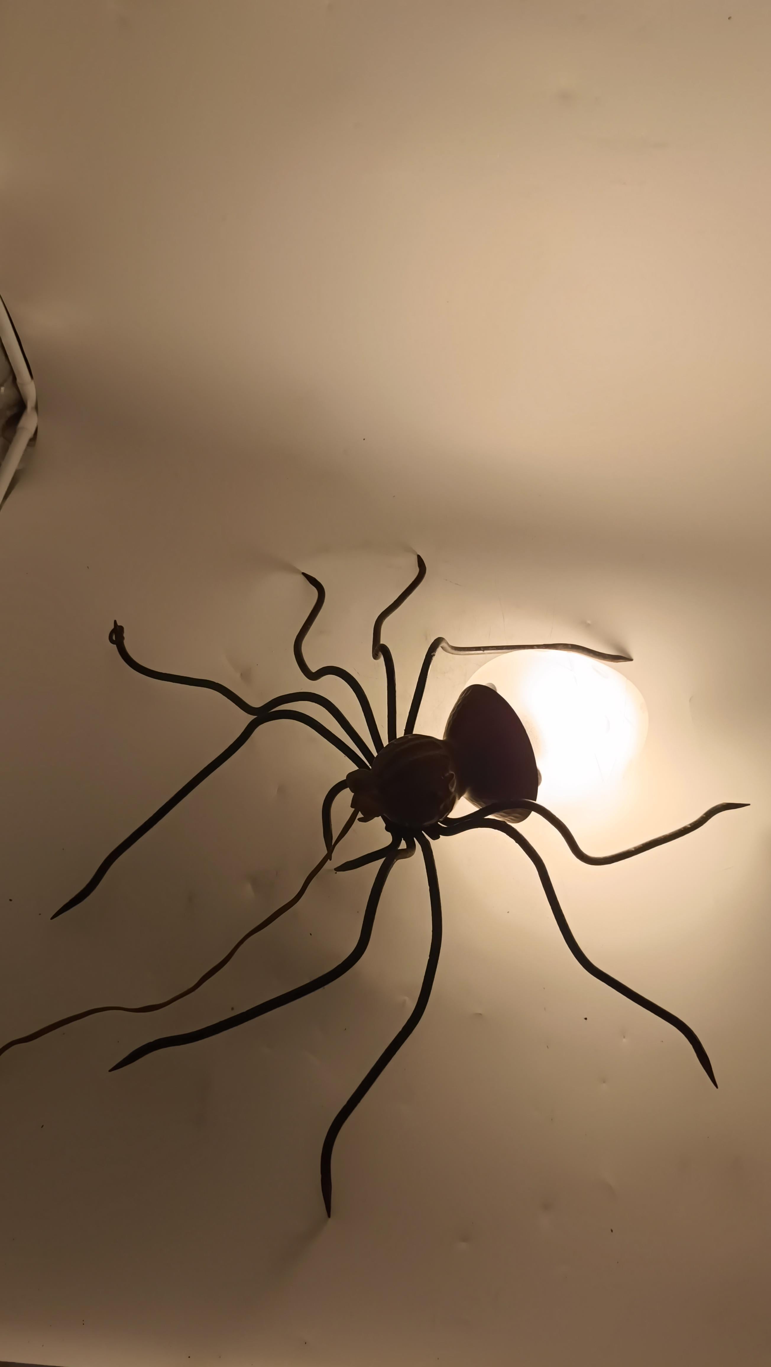 Metal and Glass Spider Wall Lamp, Italy, 1950s For Sale 3